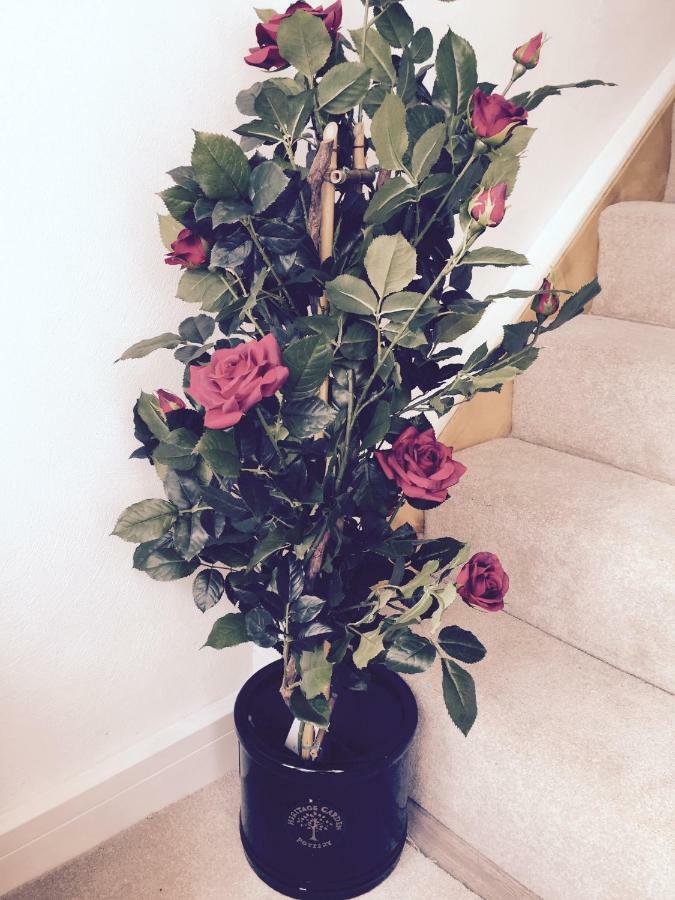 Red Rose Cottage Cockermouth Esterno foto